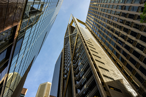 大規模法人グループ支援